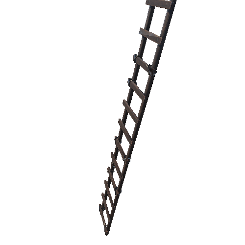 Ladder Type 2